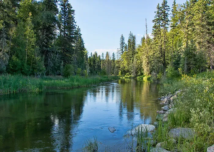lake prince albert national park